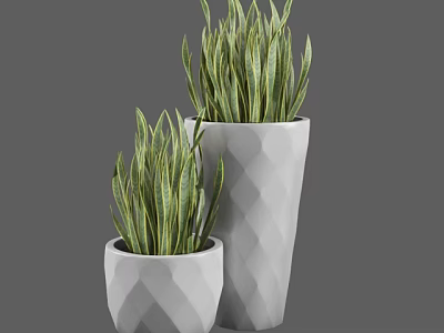 Green Striped Long Leaf Potted Plants in Geometric White Pots of Different Sizes 3d model