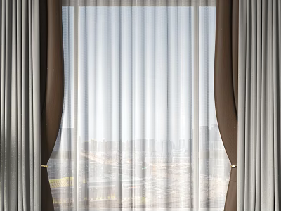 Layered Window Curtains With Light Filtering Sheer And Dark Side Panels For Modern Home 3d model