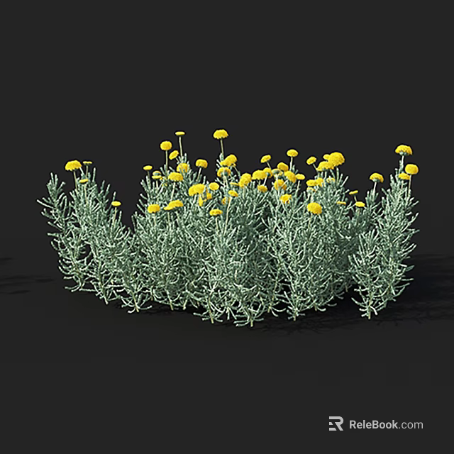 Bushy Shrub With Green Foliage And Bright Yellow Flowers In Bloom 3d model 
