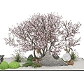 Outdoor Landscape Chinese Landscape Small Landscape Chinese Plant Landscape 3d model