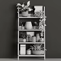 Elegant Decorative Items Set On Shelf With Green Plants Ceramic Vases And Sculptures