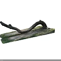 Natural Curved Wooden Log with Organic Shape on Grass Covered Ground