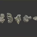 Natural Stone And Wood Decorative Pieces With Unique Textures And Shapes