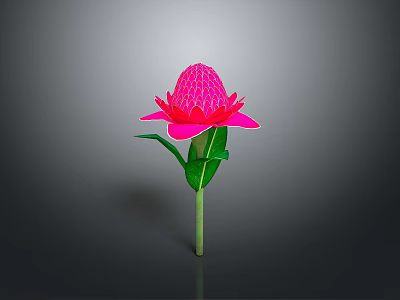 Vibrant Pink Flower Bloom With Green Leaves And Long Stem On Gray Background 3d model