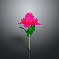 Vibrant Pink Flower Bloom With Green Leaves And Long Stem On Gray Background
