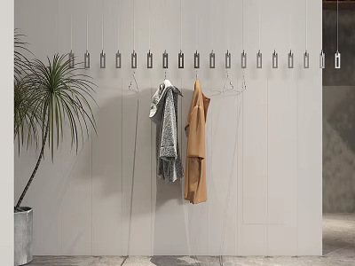 Minimalist Clothing Store Interior With White Wall Hanging Clothes Hangers And Palm Plant 3d model