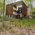 Dark Brown Wooden Detached House Surrounded by Lush Green Trees and Open Design