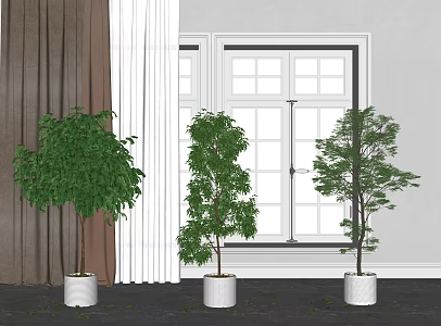 Modern Potted Plant Green Plant Bonsai 3d model