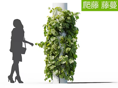 Lush Climbing Vine Growing On White Pillar With Female Silhouette Touching 3d model