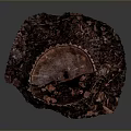 Natural Plant Tree Stump With Textured Bark Cross Section On Dark Background 3d model