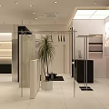 Modern Clothing Store Interior With Mannequin Display Racks White Counter Plants And Mirror
