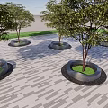 Multiple Circular Tree Planters With Green Trees On Paved Outdoor Landscaped Area 3d model
