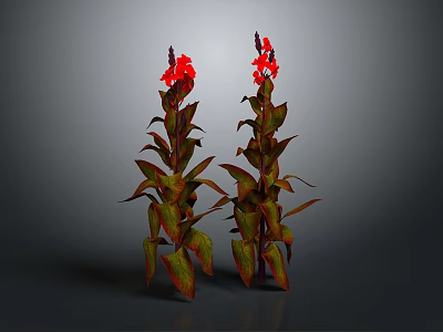 Vibrant Flowering Plants With Red Blooms And Variegated Leaves On Gray Background 3d model