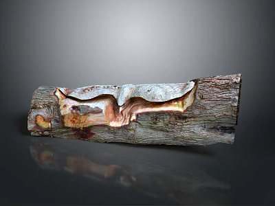Wooden Stone Sculptural Artwork With Natural Texture And Unique Carved Patterns 3d model