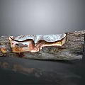 Wooden Stone Sculptural Artwork With Natural Texture And Unique Carved Patterns