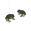 Two Green Frogs 3D Model Figurine With Realistic Detailed Design Features