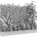 Lush Indoor Living Plant Wall With Various Green Foliage And Decorative Design