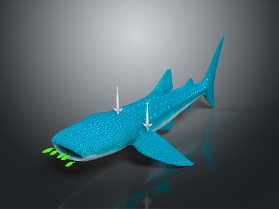 Modern Whale Cartoon Whale Mammal Marine Mammal model