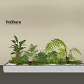 Poliform Mixed Plant Combination With Ferns Small Green Plants In White Rectangular Planter