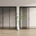 Modern Black Framed Glass Sliding Doors With Green Plant In White Planter And Wooden Floor
