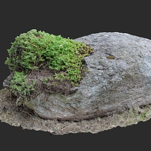 Landscape Stone Food Stone Moss 3D Scanning Reconstruction 3d model