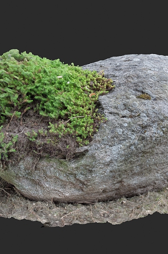 Landscape Stone Food Stone Moss 3D Scanning Reconstruction 3d model