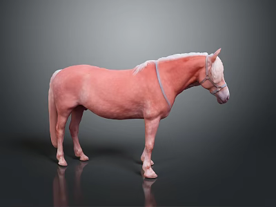Light Pink Horse Standing Against Dark Background With Reflective Surface And Bridle 3d model