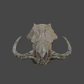 Prehistoric Animal Fossil Skull With Curved Horns And Detailed Bone Structure