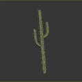 Tall Green Cactus Plant With Thorny Stems On Gray Background