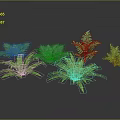 Green Fern Plant Decor Elements With Different Leaf Shapes And Sizes