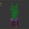 Silver Cylindrical Pot With Green Leafy Plant And Slender Stems On Dark Background