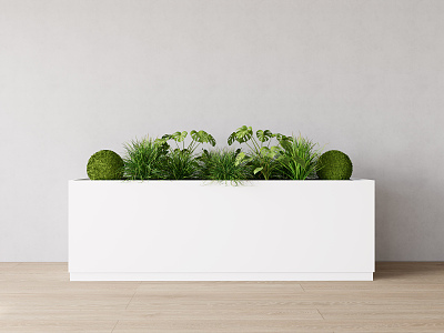 Modern Flower Box Green Plant Flower Box model