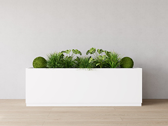 Modern Flower Box Green Plant Flower Box 3d model