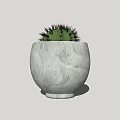 Green Spiky Succulent Plant in White Marble Patterned Ceramic Pot