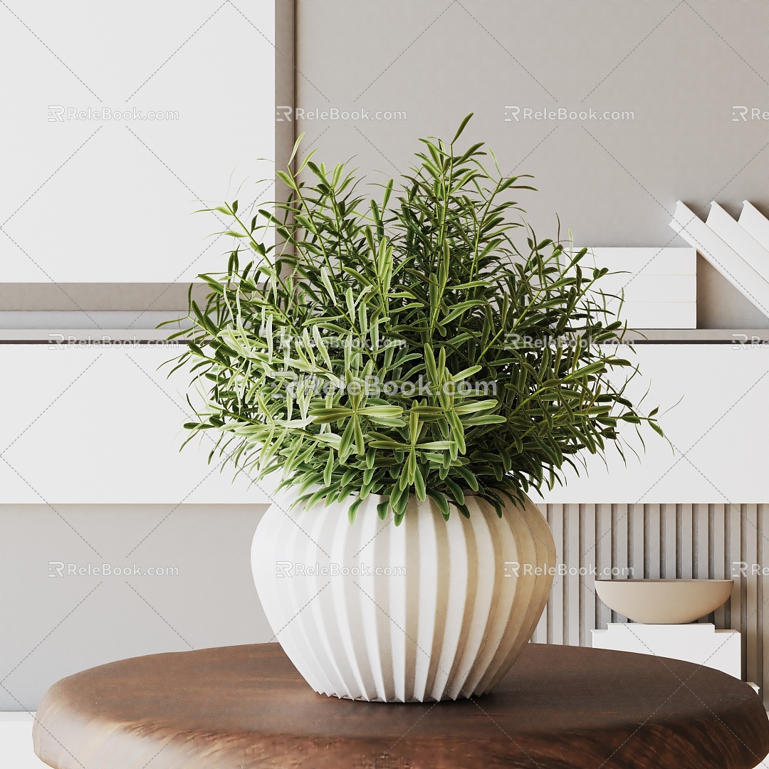 Modern Potted Plant 3d model