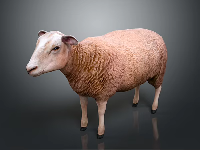 Realistic Brown Sheep Standing On Gray Background With Detailed Wool Texture 3d model