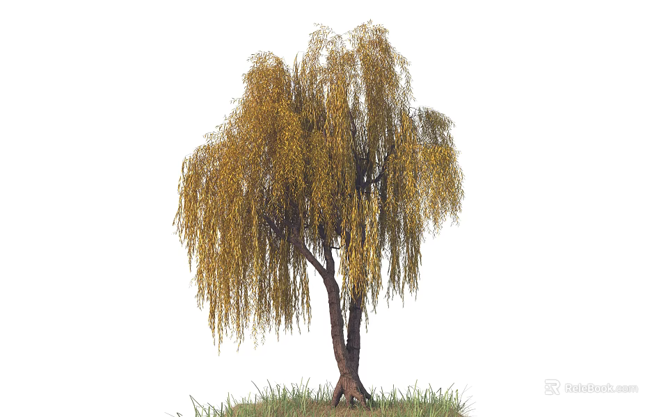 Beautiful Willow Tree with Drooping Yellow Leaves and Brown Trunk Standing on Green Grass 3d model 
