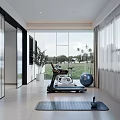 Modern Recreation Room With Exercise Bike Yoga Mat Large Windows And Green View