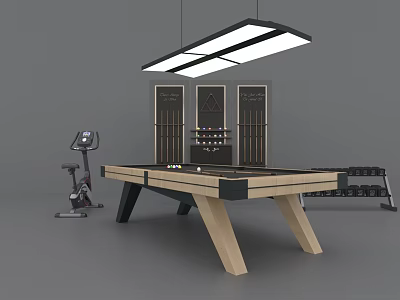 Indoor Sports Equipment Setup With Pool Table Exercise Bike And Dumbbell Rack 3d model