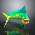 Vibrant Green And Yellow Mahi Mahi Fish With Open Mouth Blue Fins Dark Background Reflection