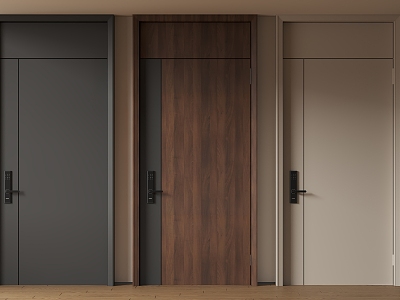 Modern Minimalist Entry Door Anti-theft Door Top Single Door Sub-mother Door Password Door 3d model