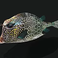 Colorful Marine Pufferfish Featuring Hexagonal Green Yellow Patterns Round Body and Big Eyes 3D Rendering