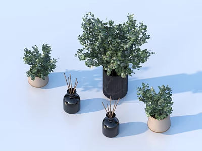 Bonsai Potted Plants With Various Sizes Black And Beige Pots Green Lush Leaves 3d model