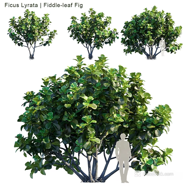 Green Plant Decorative Ornament Set With Various Sizes For Indoor Home Decor 3d model 