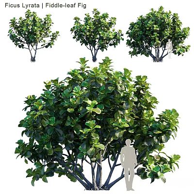 Green Plant Decorative Ornament Set With Various Sizes For Indoor Home Decor 3d model