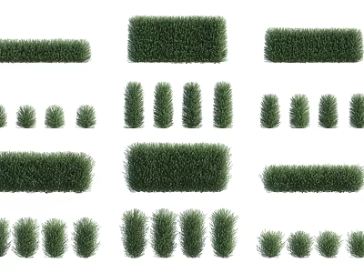 Various Garden Shrubs In Different Shapes Sizes And Green Foliage Types 3d model