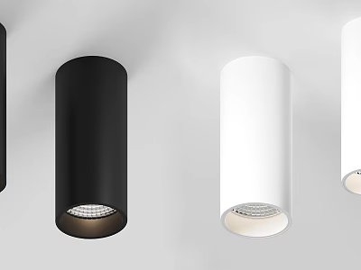 Modern Cylindrical Black White Downlights Spotlights For Home Interior Lighting 3d model