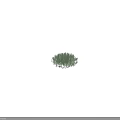 3D Rendered Green Bushy Plant With Rounded Shape And Dense Thin Leaves On Black Background