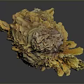 Organ And Hair Art Piece With Yellow Brown Fluffy Textured Irregular Structure