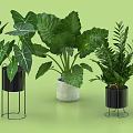 Indoor Potted Plants With Large Green Leaves Ferns And Modern Metal Cement Planters